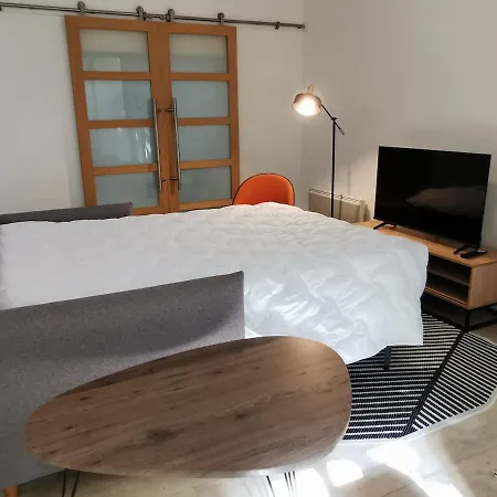 Apartment Palais Charme & Serenite En Hyper Centre Metz